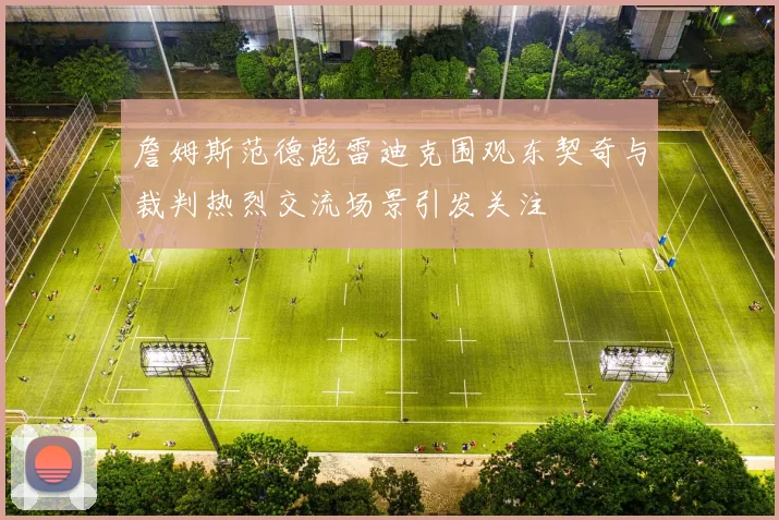 詹姆斯范德彪雷迪克围观东契奇与裁判热烈交流场景引发关注