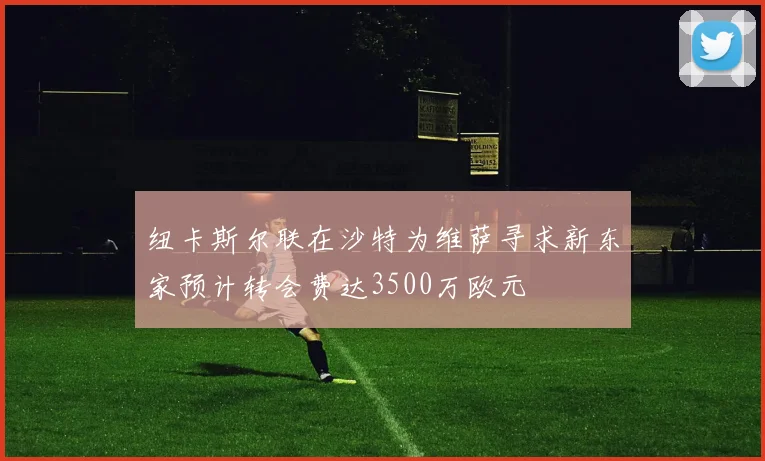 纽卡斯尔联在沙特为维萨寻求新东家预计转会费达3500万欧元